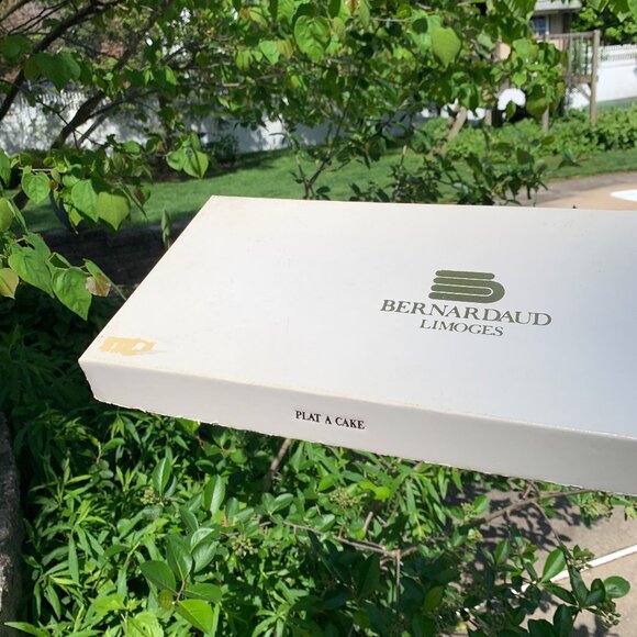 Vtg Rare Bernardaud Limoges French Long Plate - Picture 11 of 13